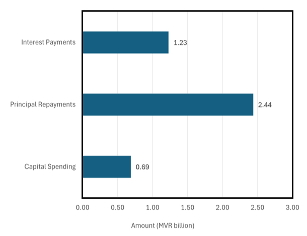 Capital Spending vs Debt Service