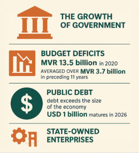 growth of gov